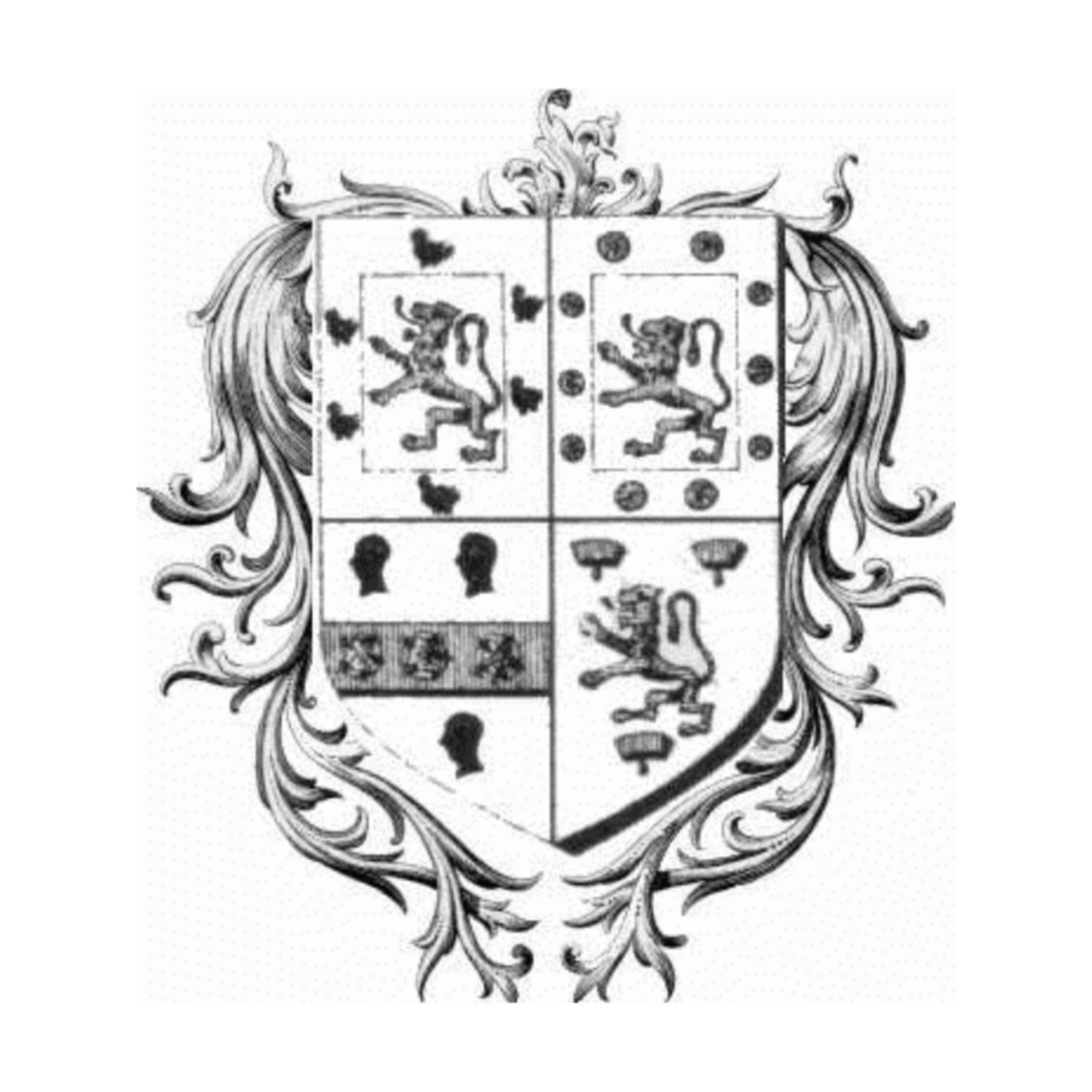 Coat of arms of family Briffe