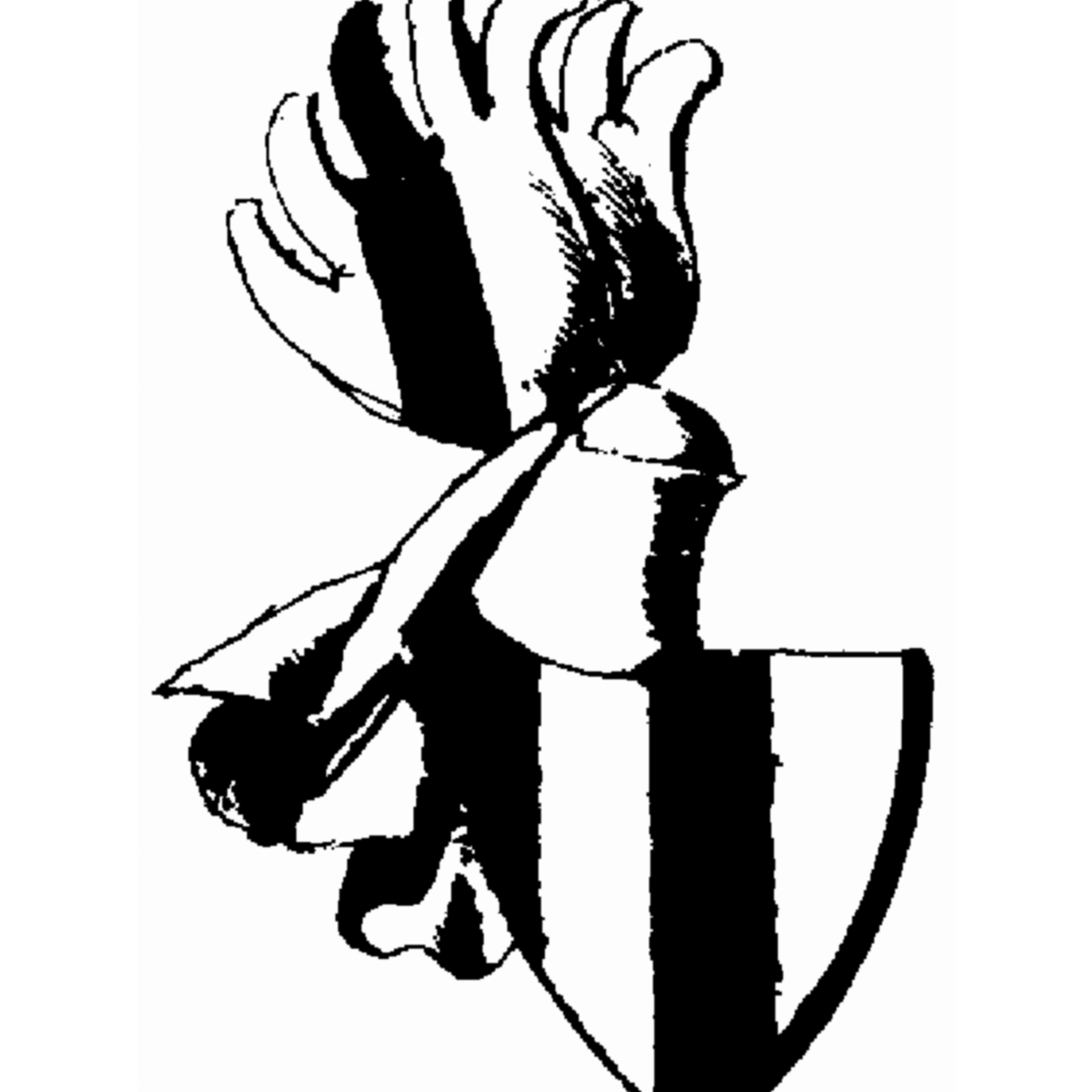 Coat of arms of family Düssenbach