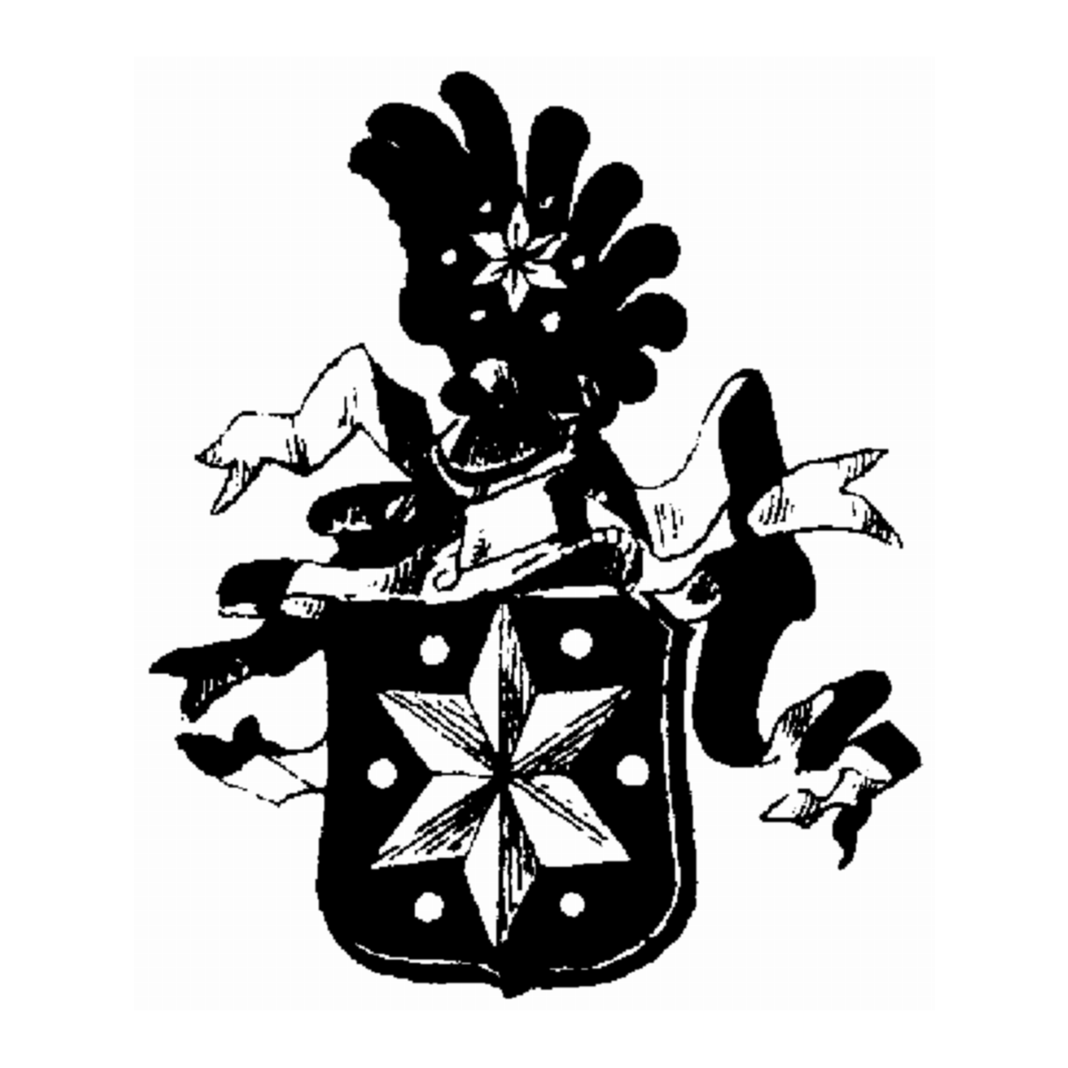 Coat of arms of family Morek