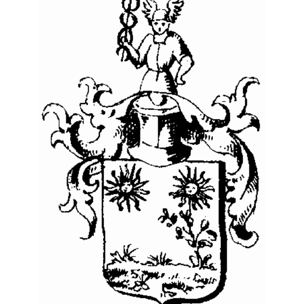 Coat of arms of family Orth