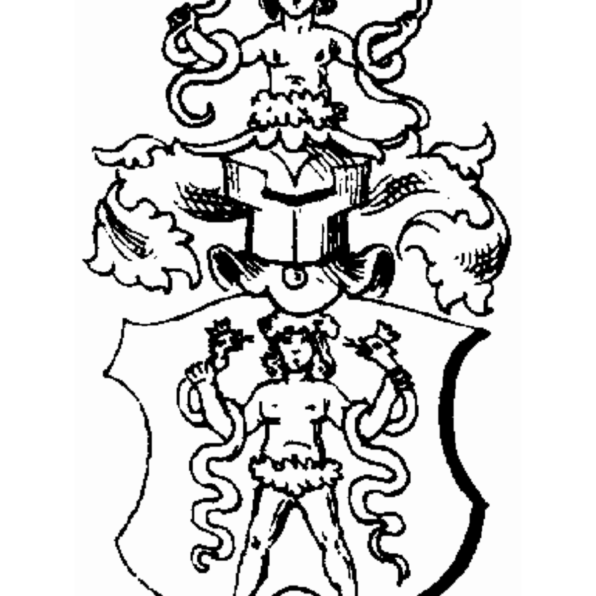 Escudo de la familia Paulmann