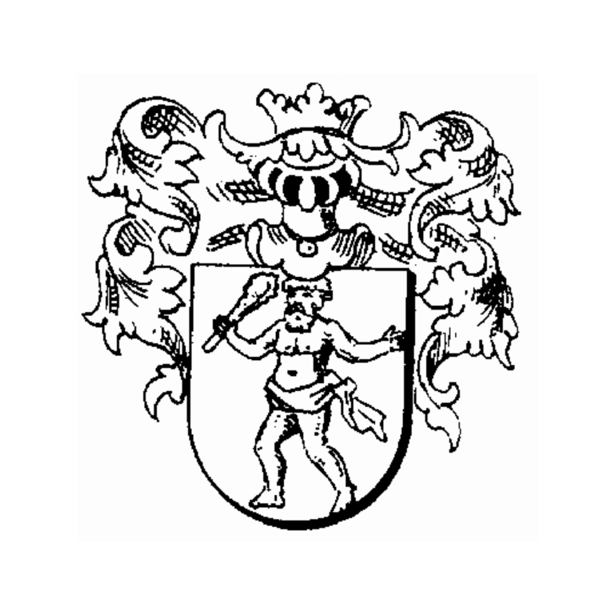 Escudo de la familia Nothaft Von Hohenberg