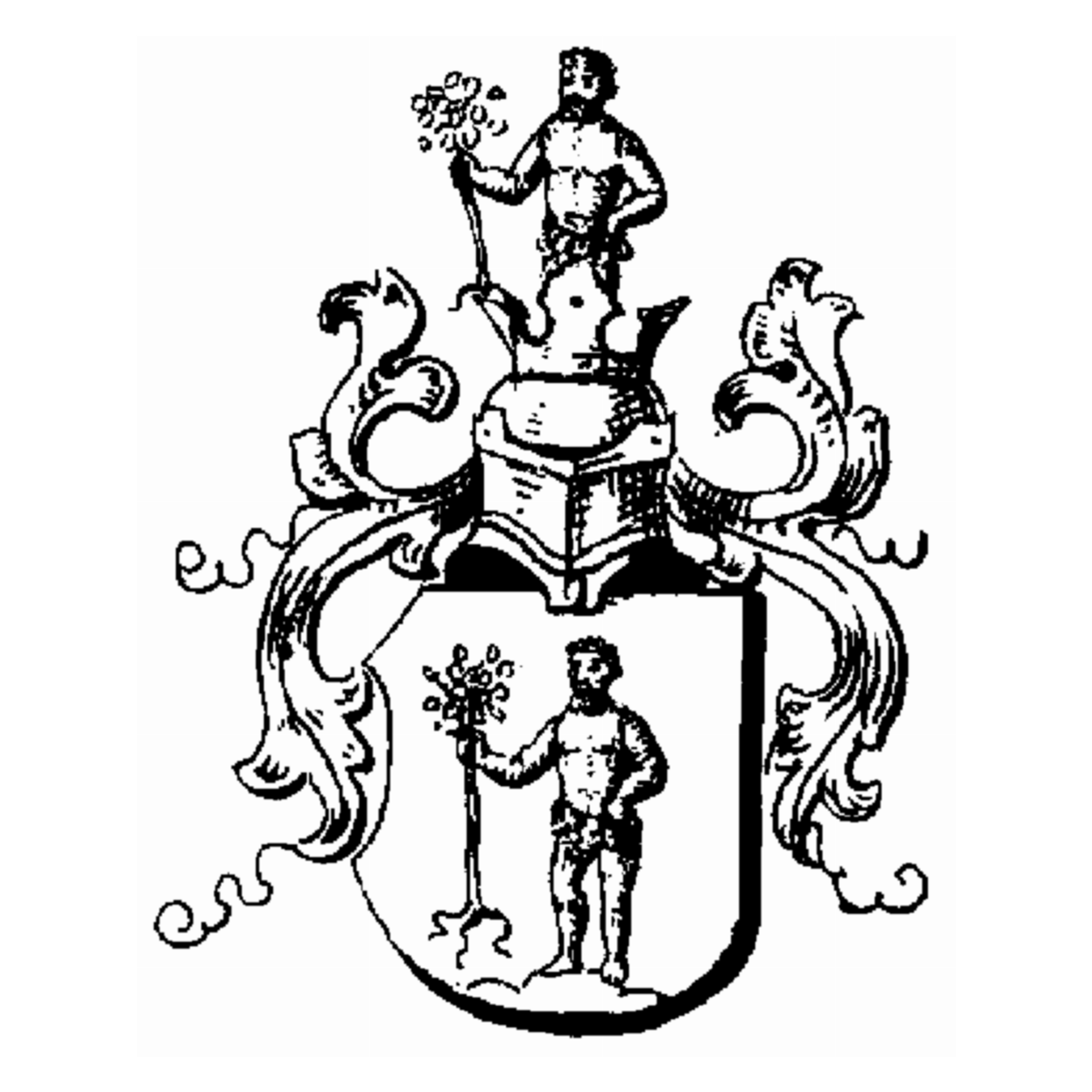 Coat of arms of family Dahlhammer