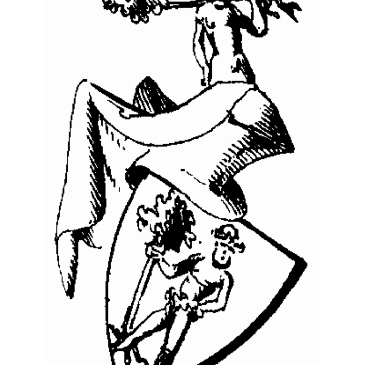 Coat of arms of family Cypraeus