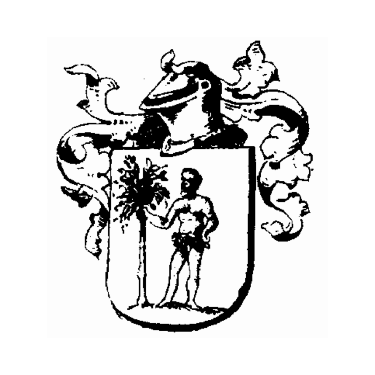 Wappen der Familie Brachi
