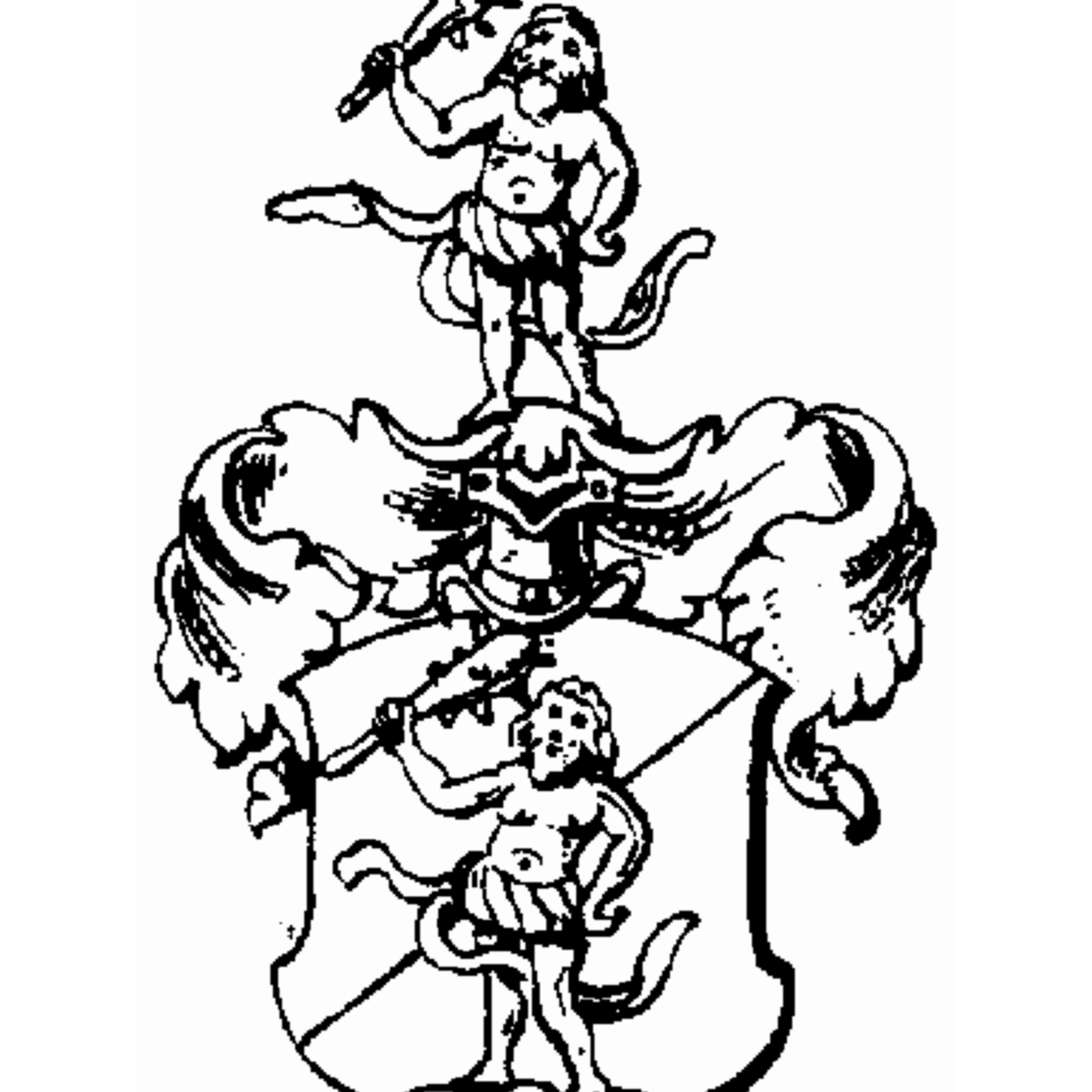 Coat of arms of family Spinnehörn