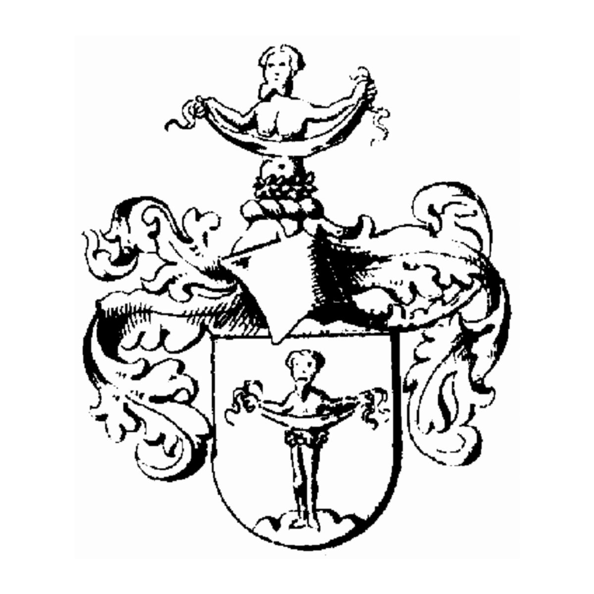 Coat of arms of family Rüsinger