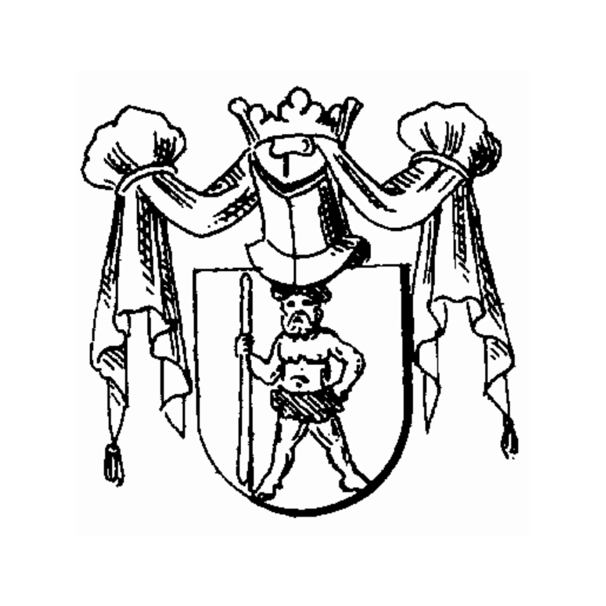 Coat of arms of family Pawe