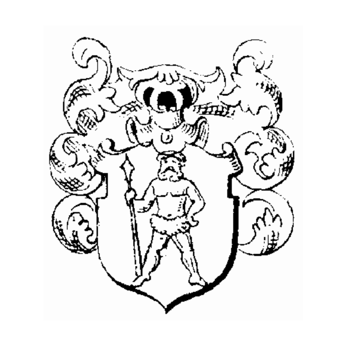 Coat of arms of family Spiring