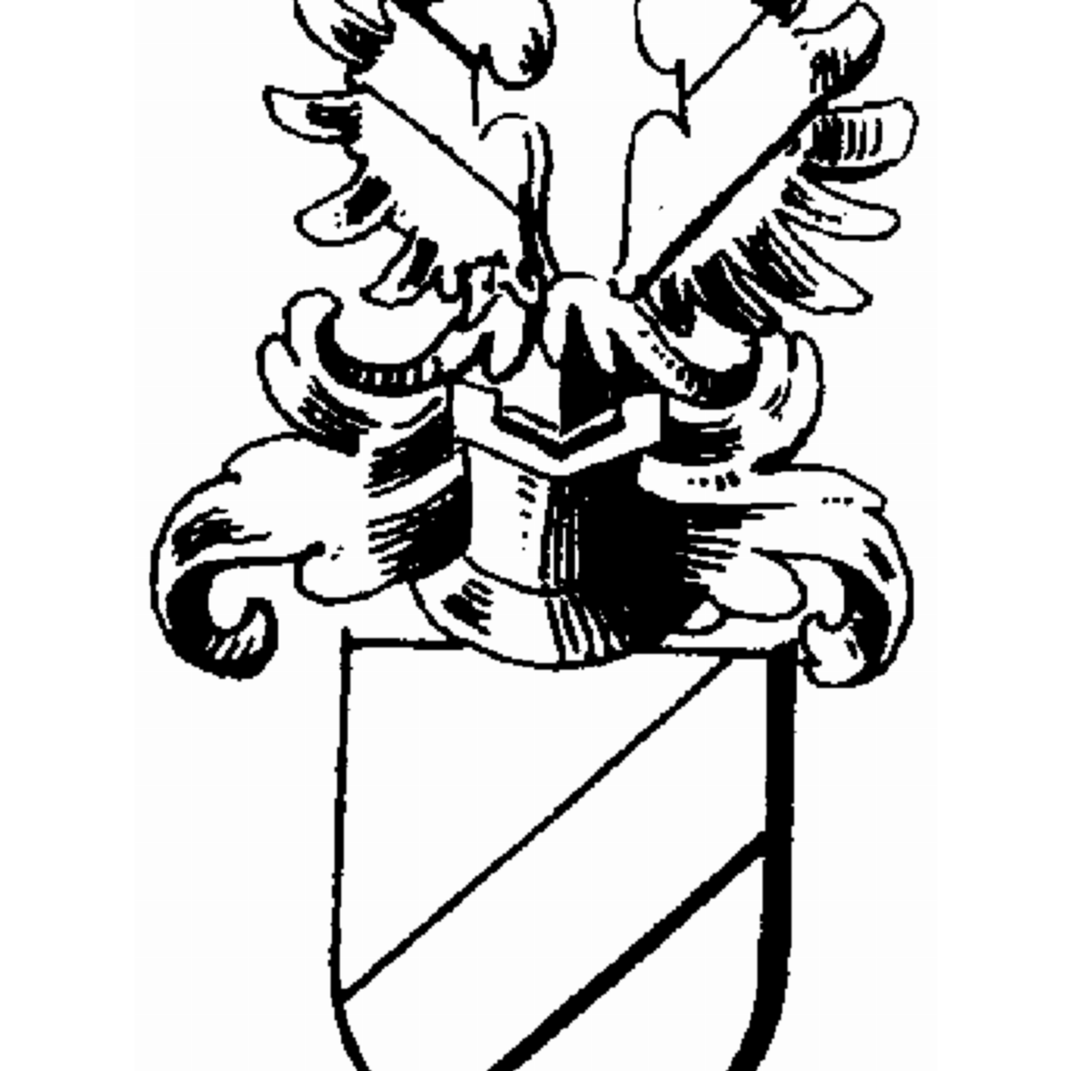 Coat of arms of family Brakenhofer