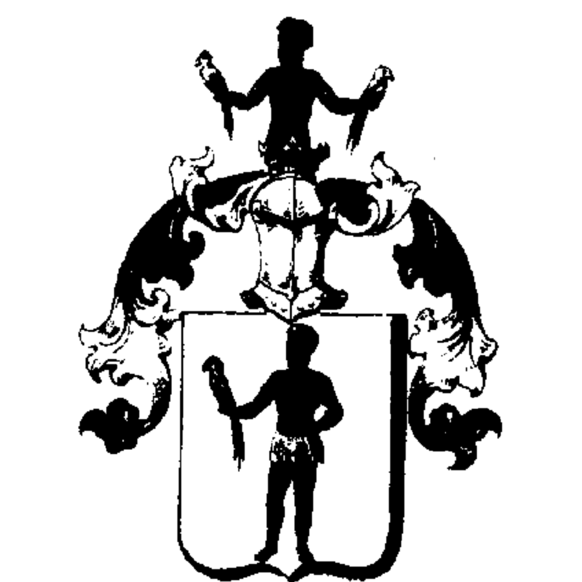 Coat of arms of family Zinfrion