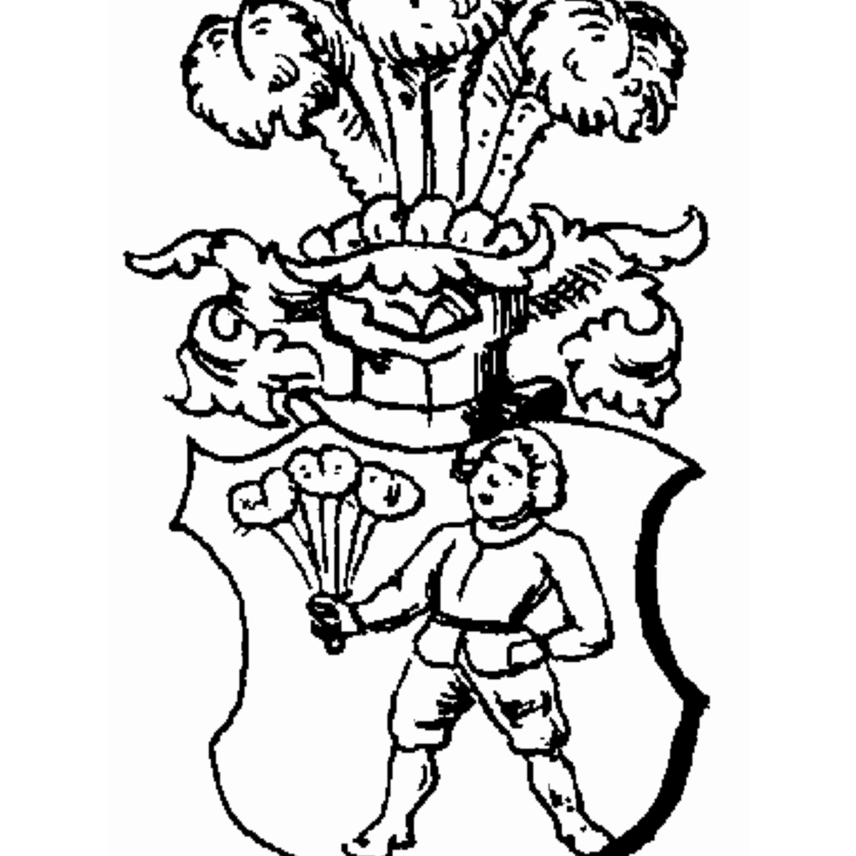 Wappen der Familie Novali
