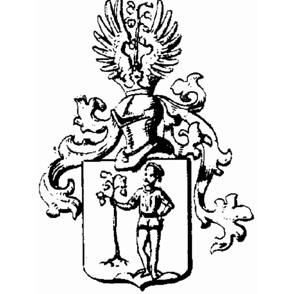 Coat of arms of family Rako