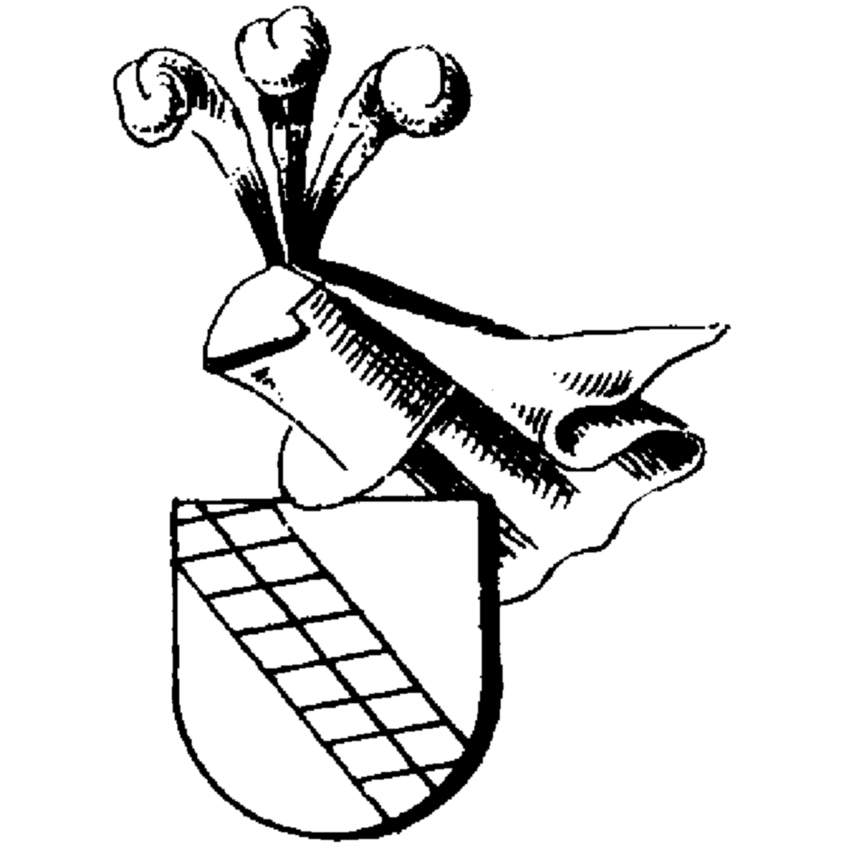 Coat of arms of family Rüttschy