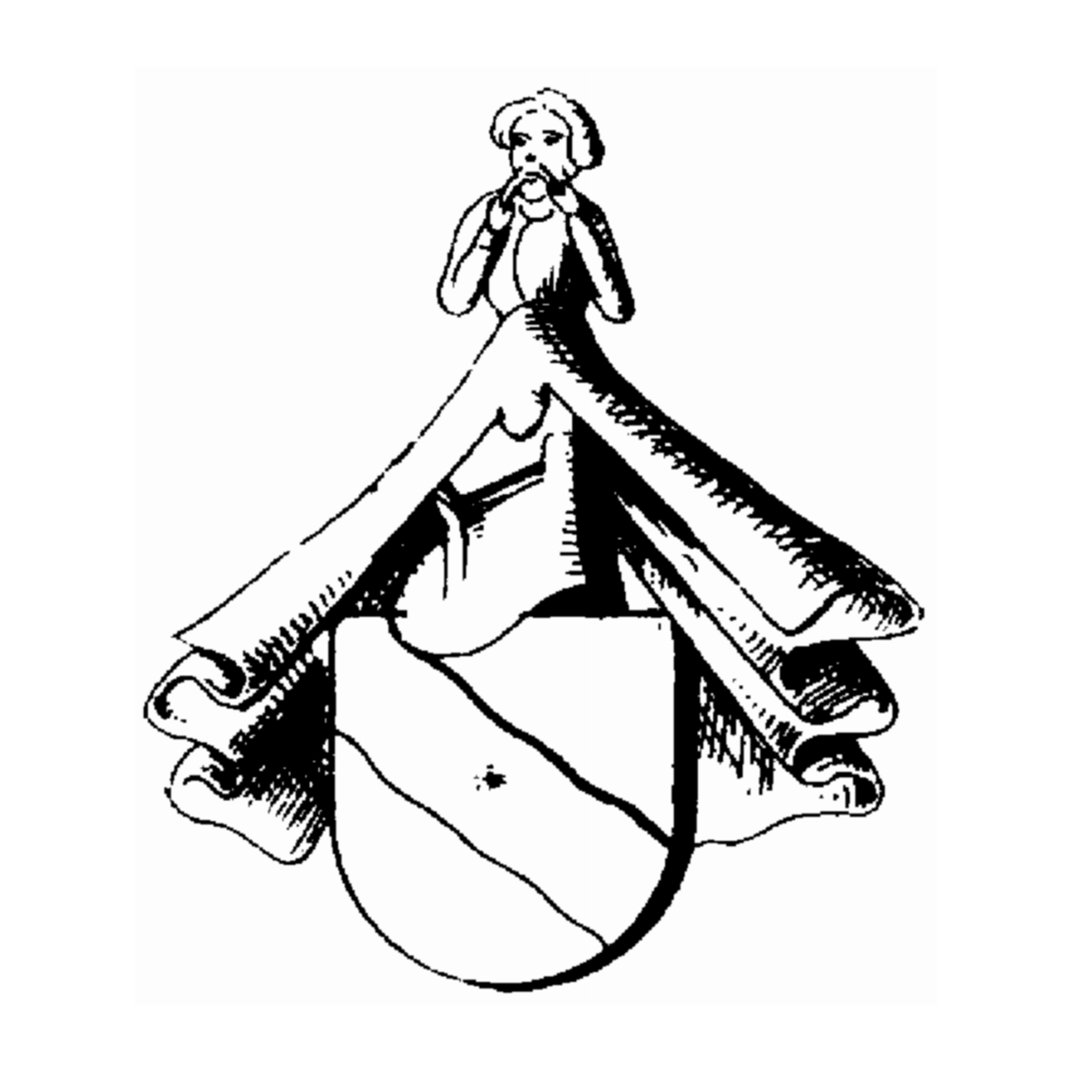 Coat of arms of family Mülerlin