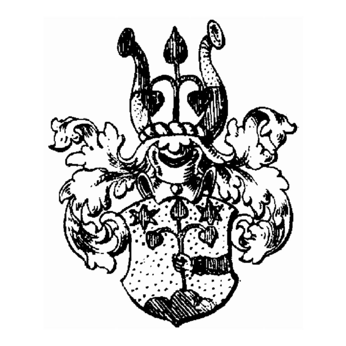 Coat of arms of family Rittershusius