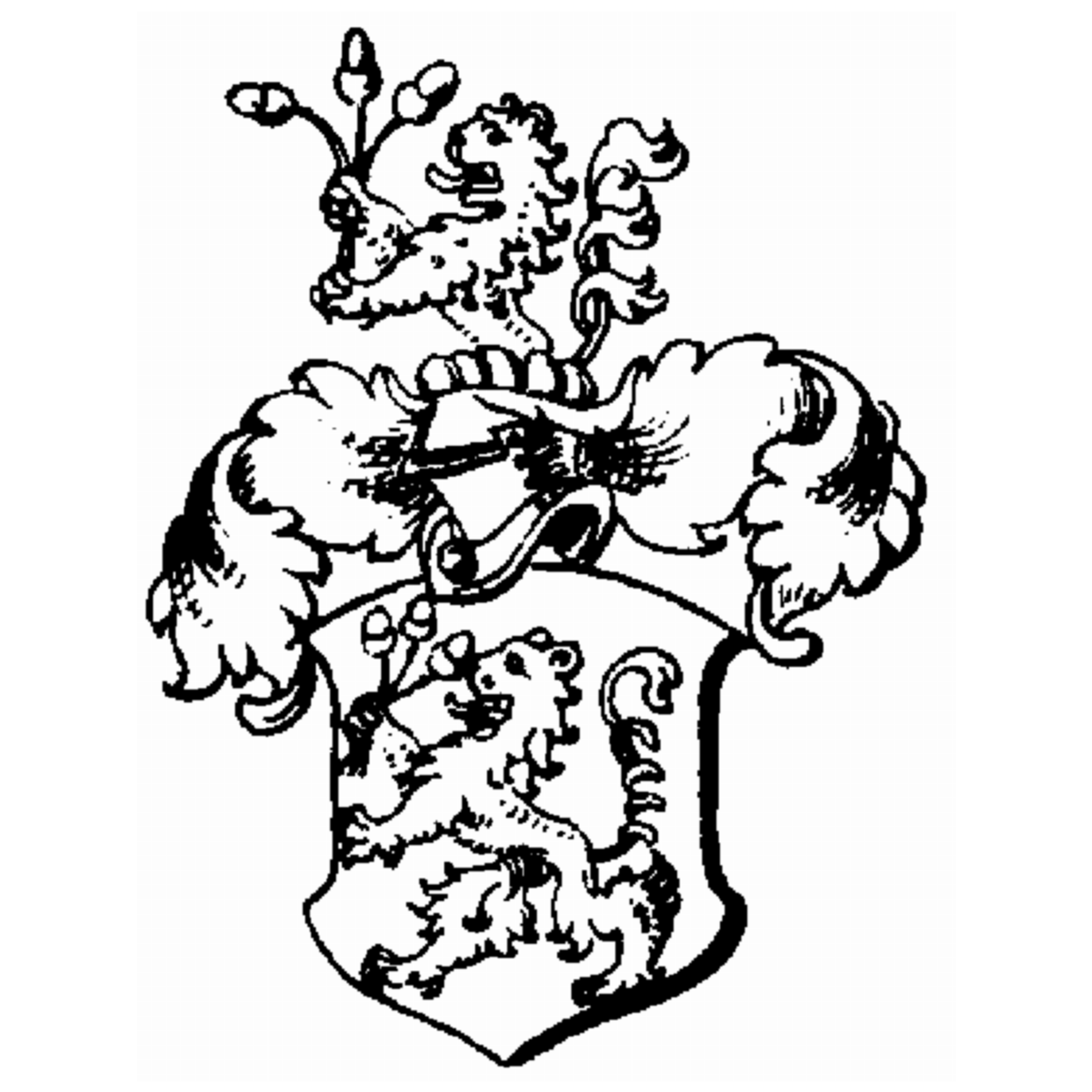 Escudo de la familia Lüpfle