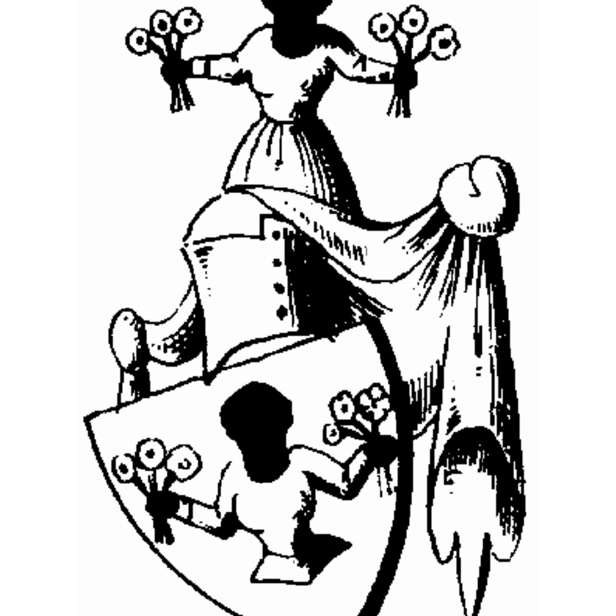 Coat of arms of family Robesach