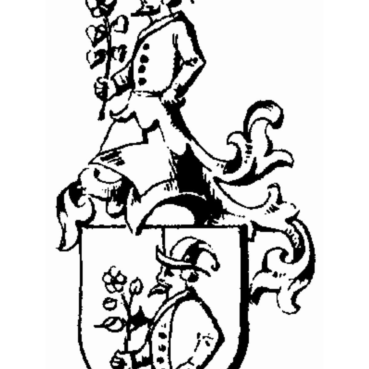 Coat of arms of family Mentzelius