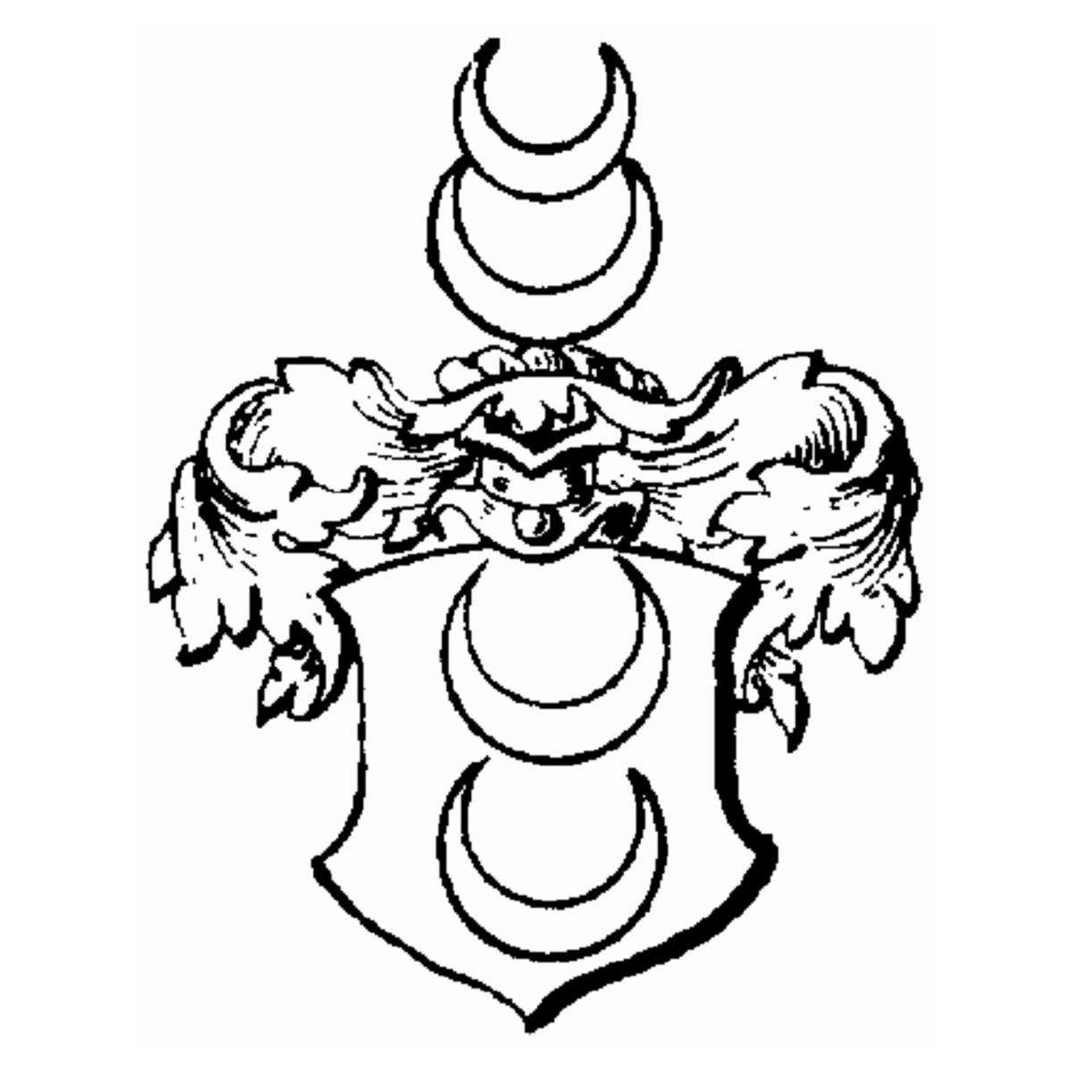 Coat of arms of family Merseburg