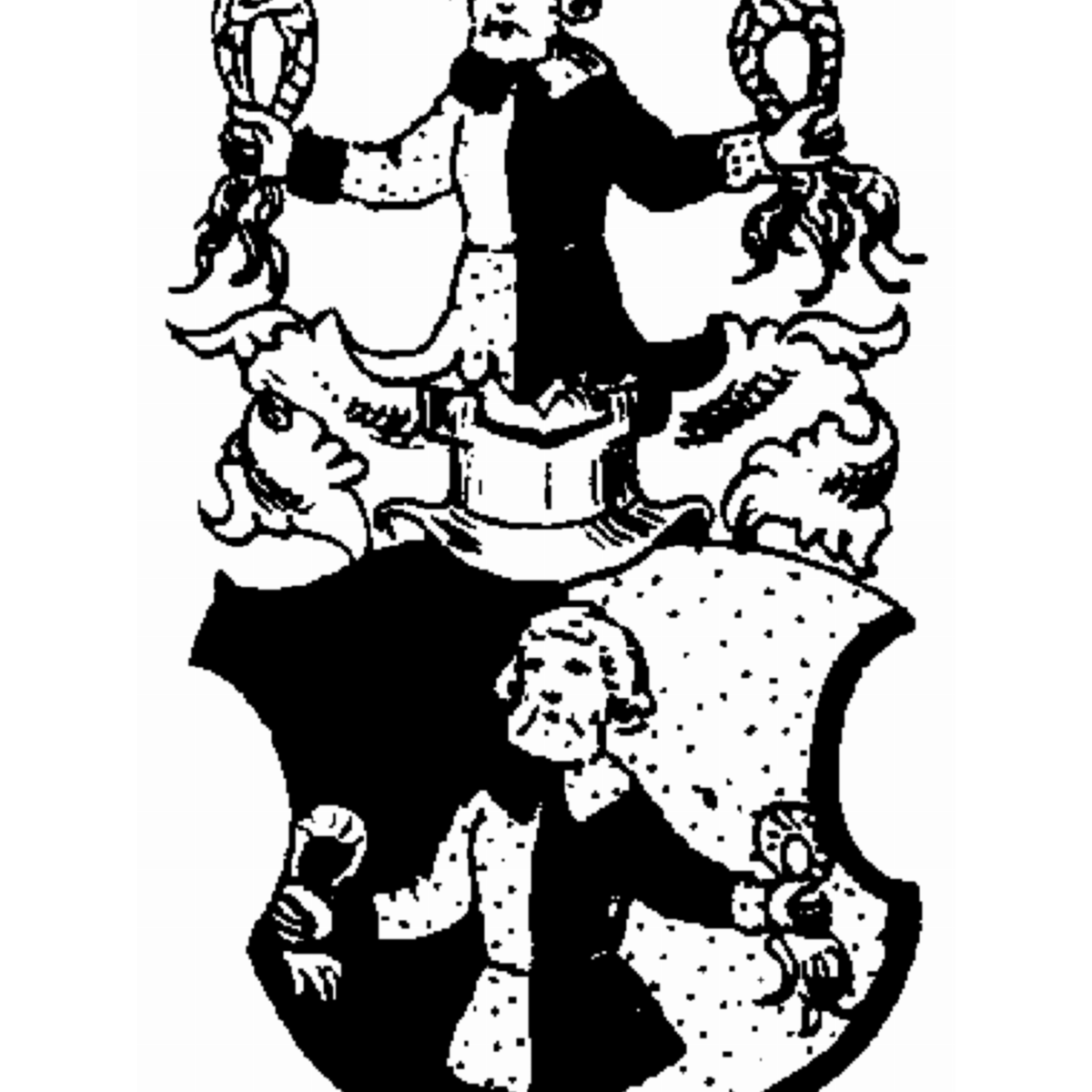 Coat of arms of family Samowen