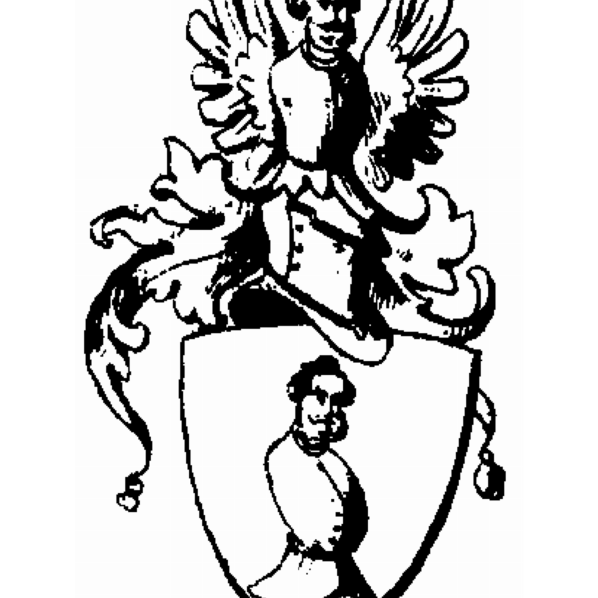 Escudo de la familia Rauhbühl