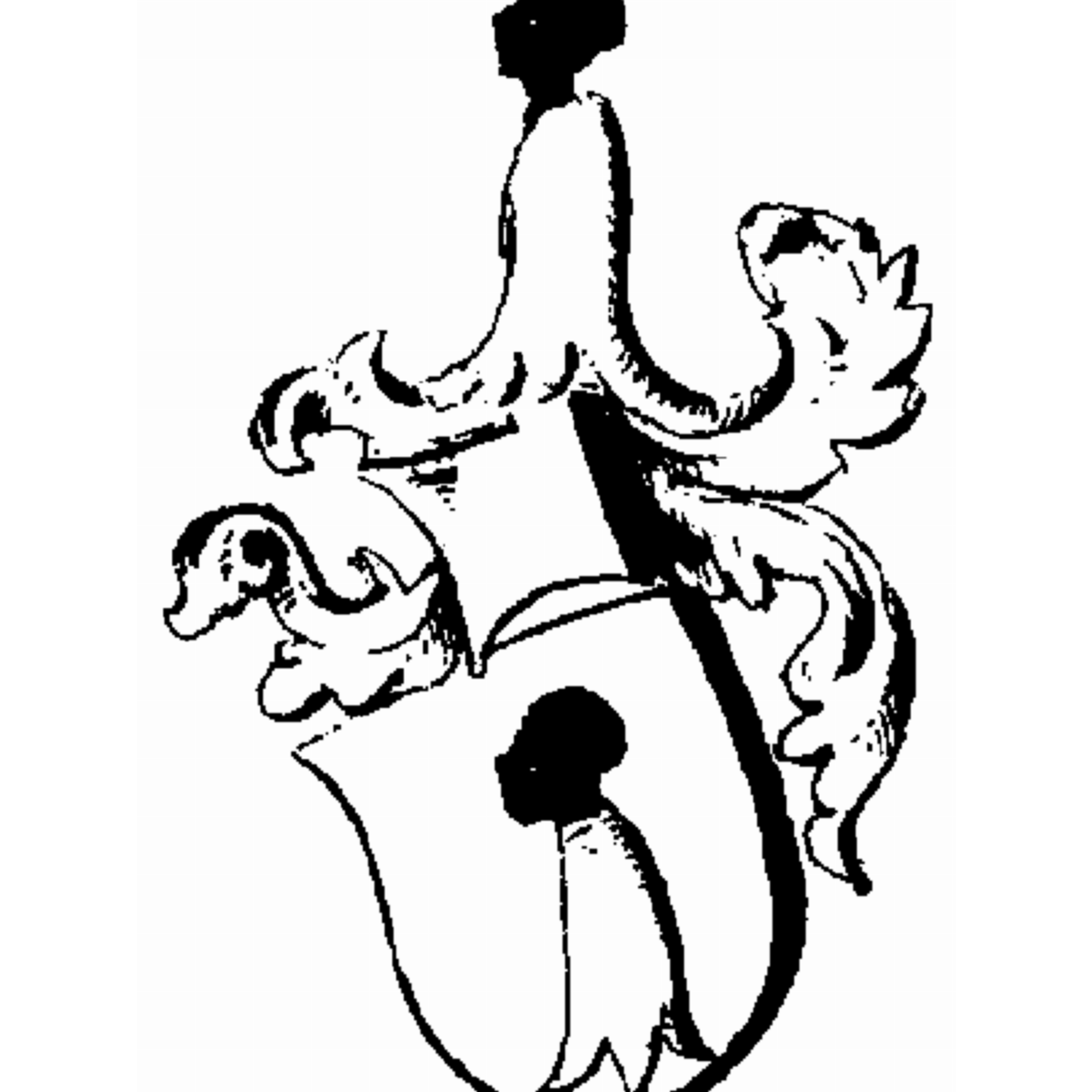 Coat of arms of family Köhn