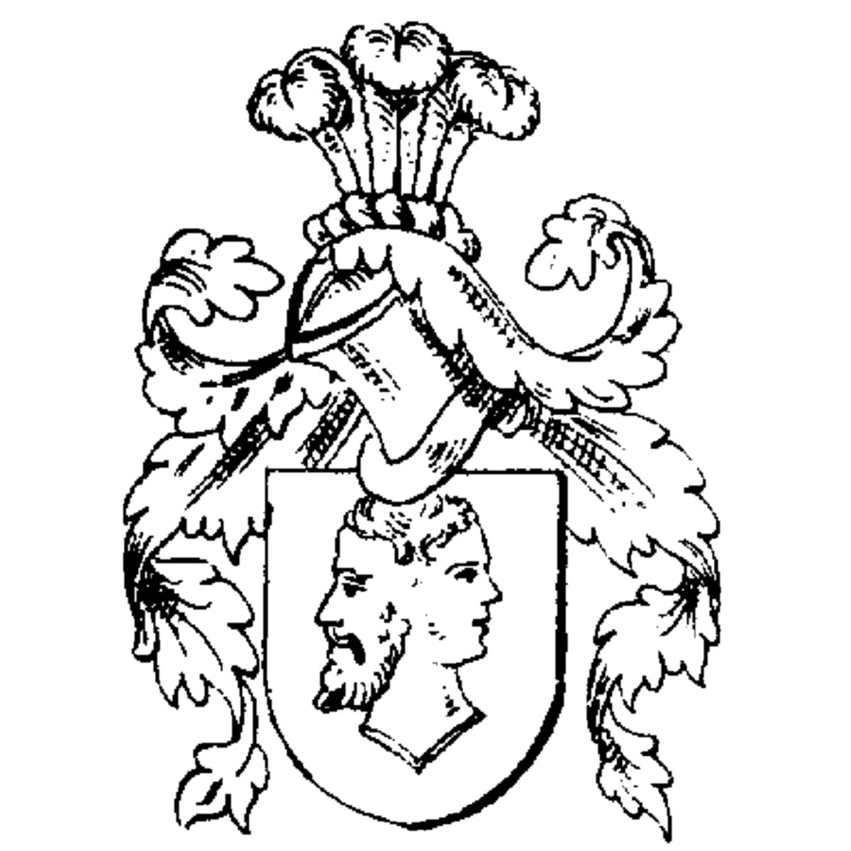 Coat of arms of family Naß