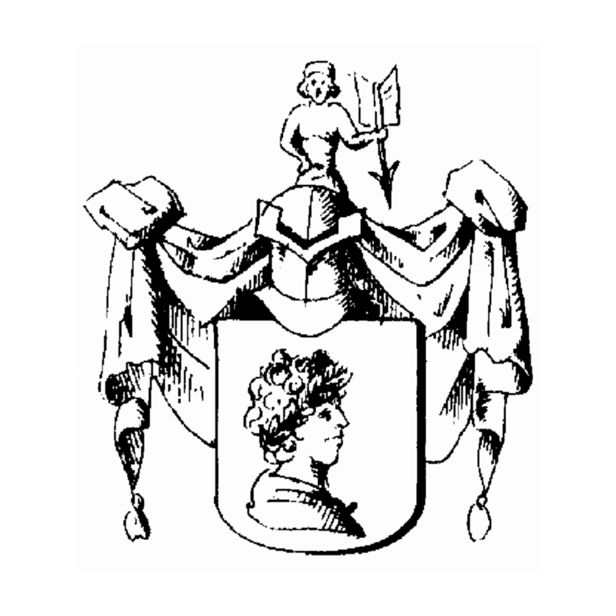 Coat of arms of family Abelin