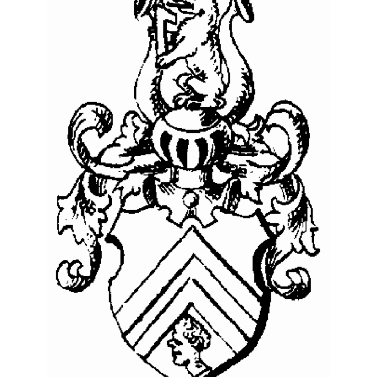 Coat of arms of family Nachtegal