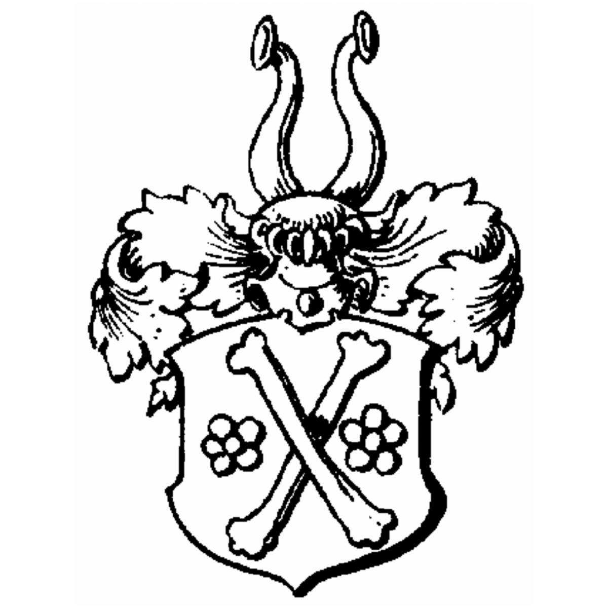 Coat of arms of family Nacket