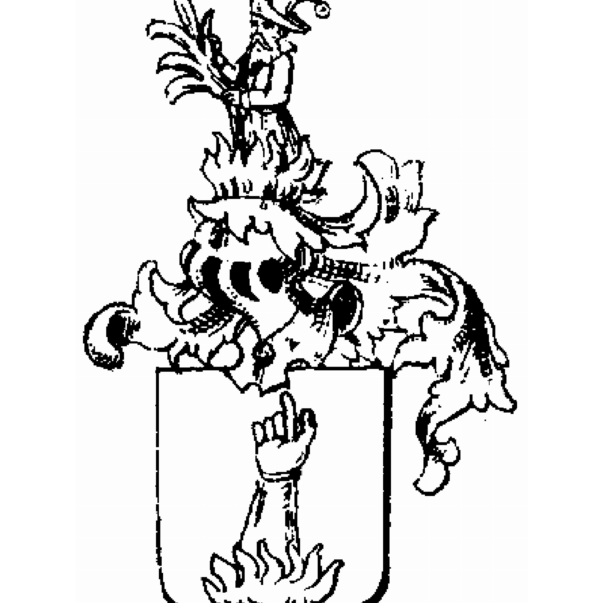 Coat of arms of family Sturtzkopf