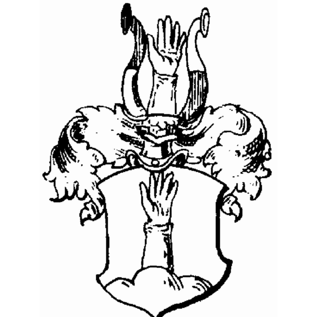 Escudo de la familia Naghelsmet
