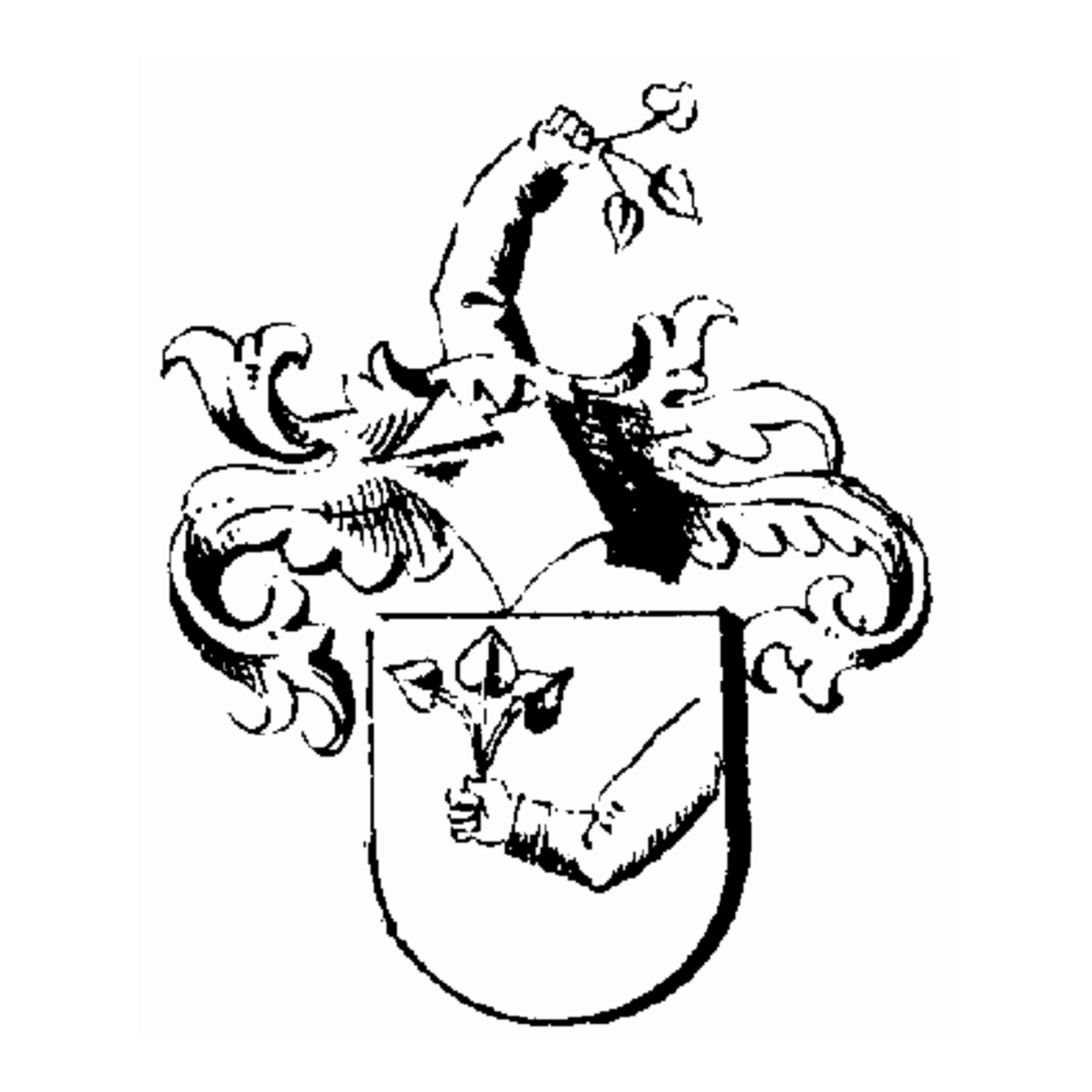 Wappen der Familie Metfeld