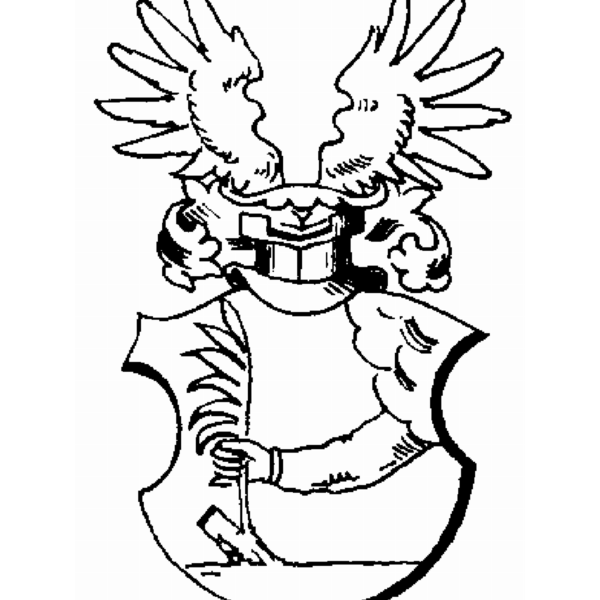 Escudo de la familia Ronttenkopf