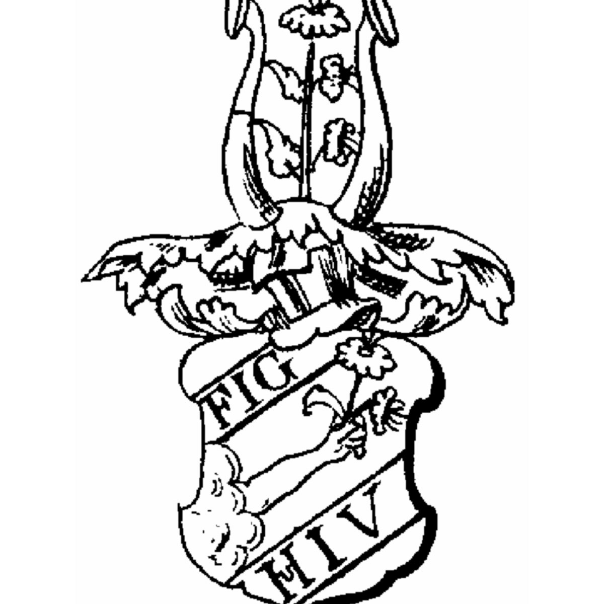Coat of arms of family Sauäugle