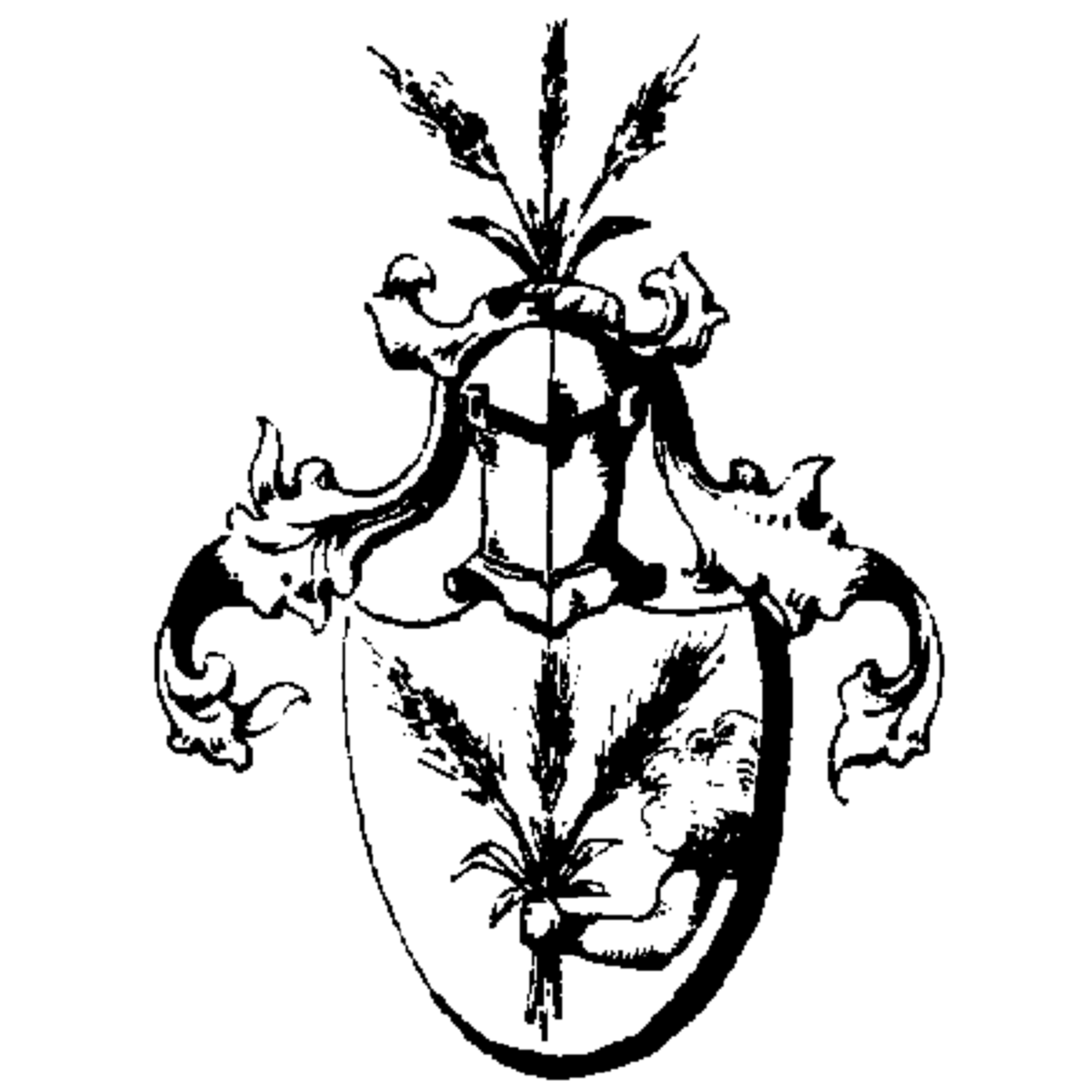 Coat of arms of family Trampnau