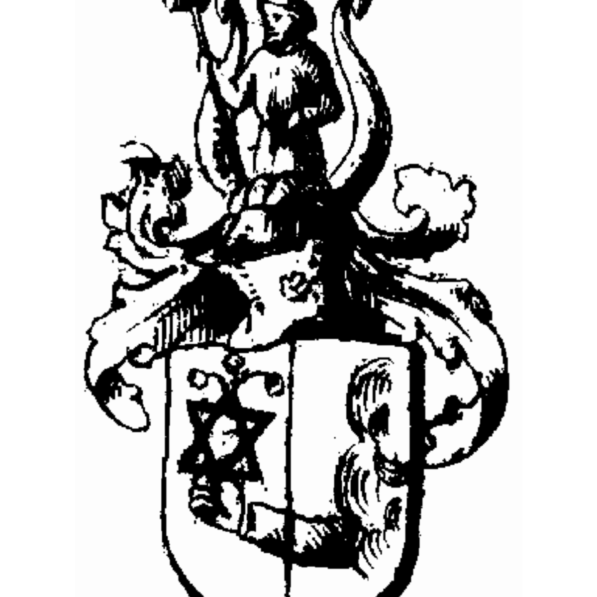 Coat of arms of family Mainfranke