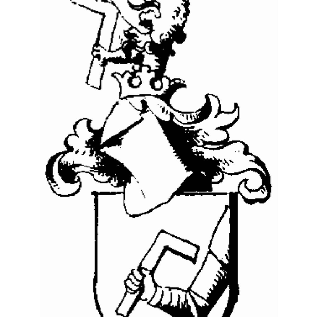 Coat of arms of family Hanz