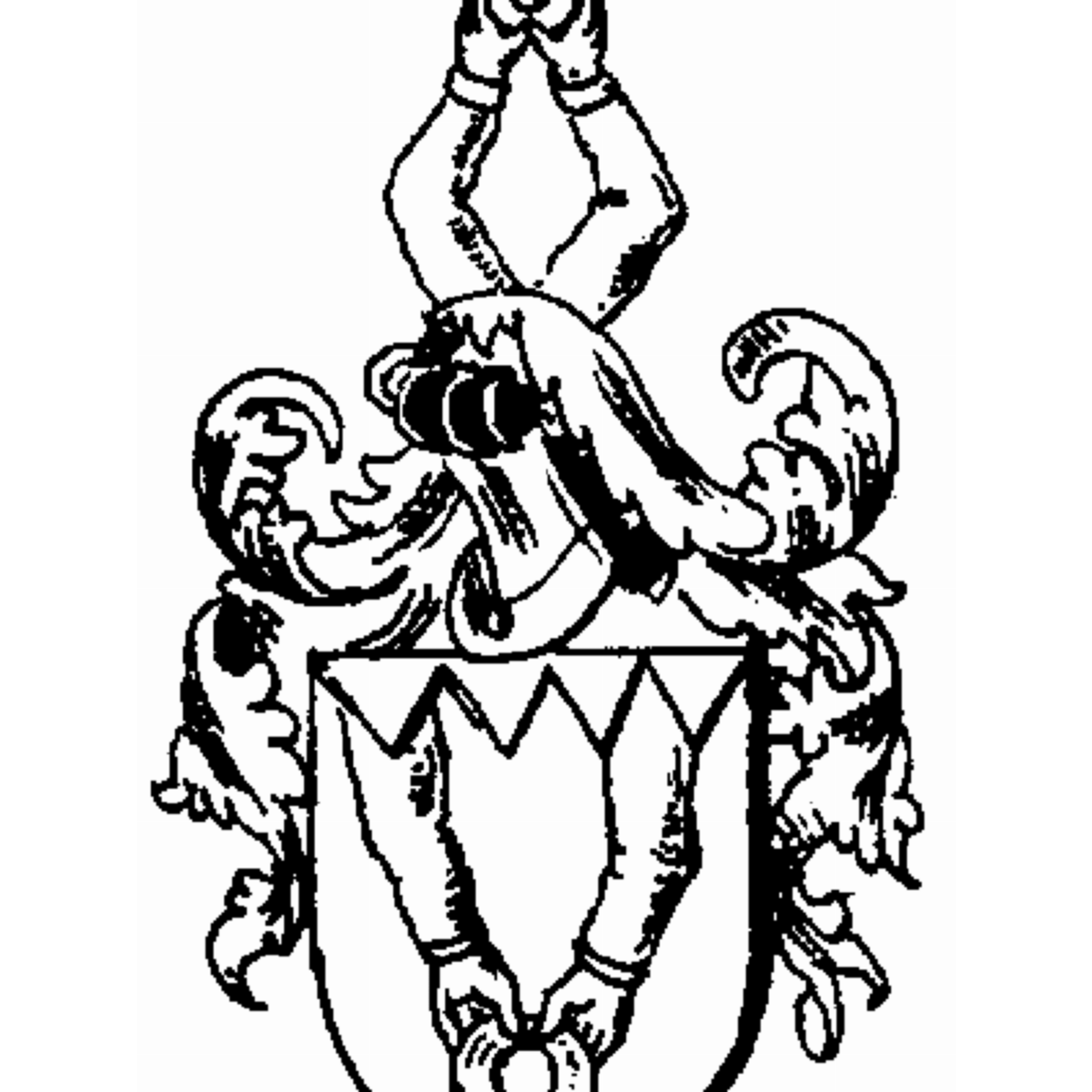 Coat of arms of family Nayger