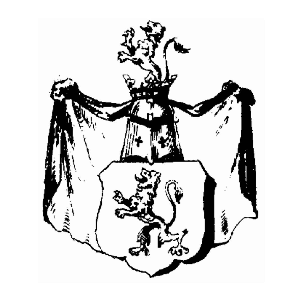 Coat of arms of family Plattfuß