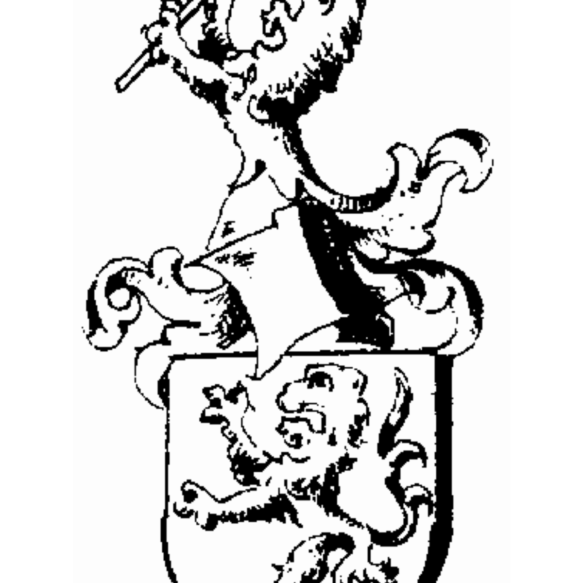 Coat of arms of family Mandelreis