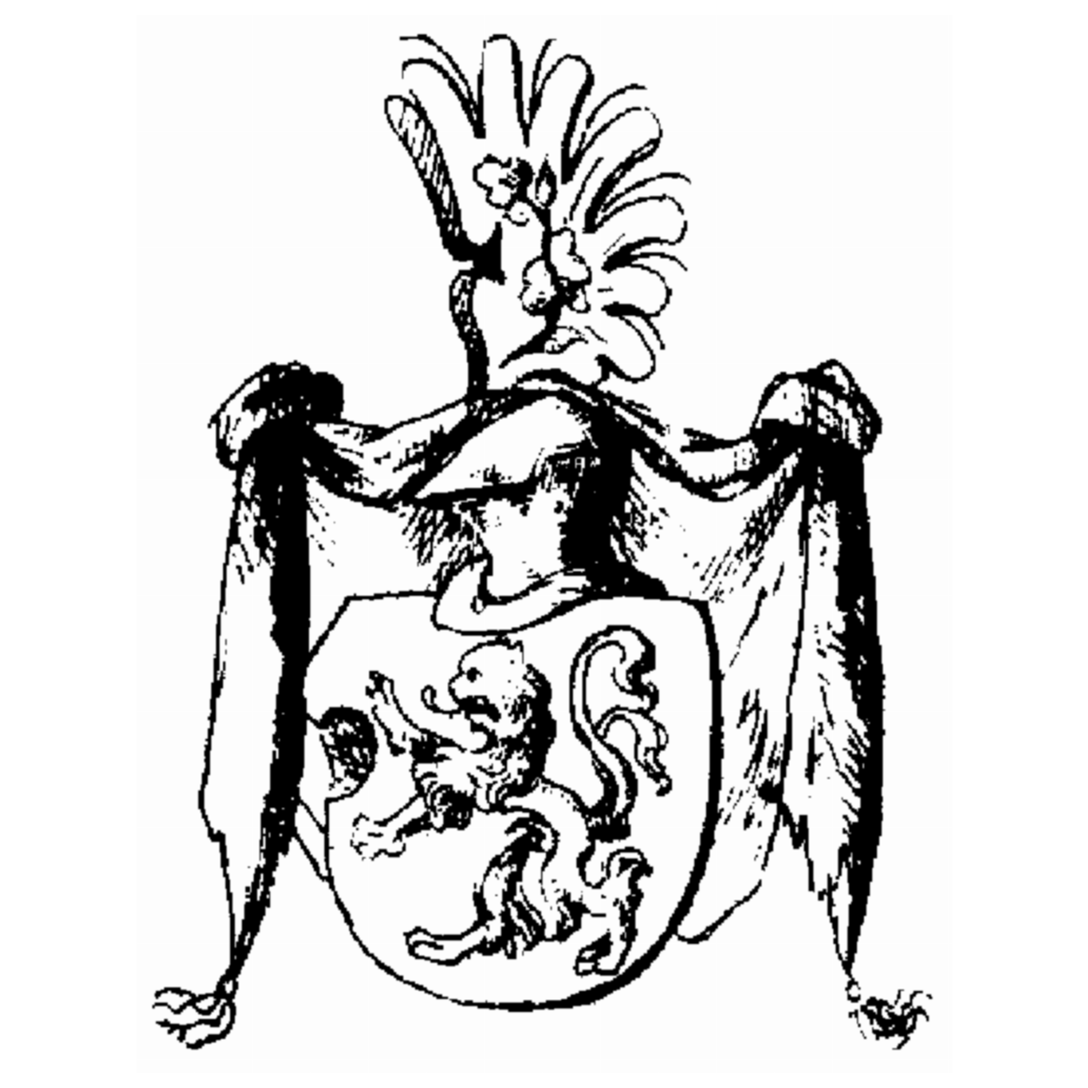 Escudo de la familia Drischilling
