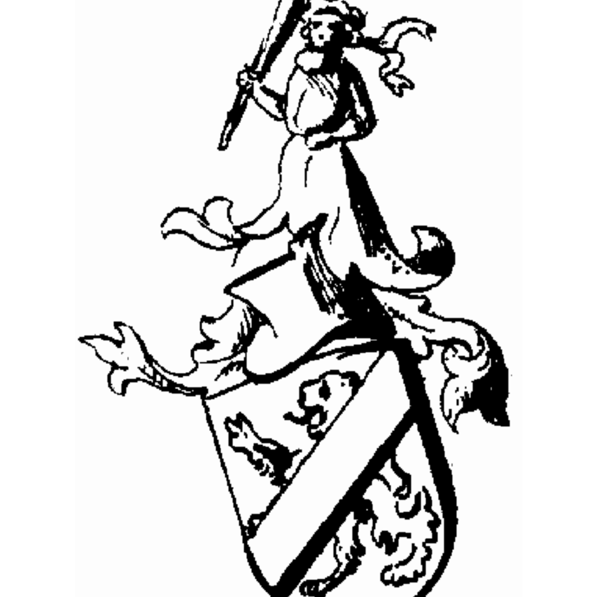 Escudo de la familia Snefogel Von Grub