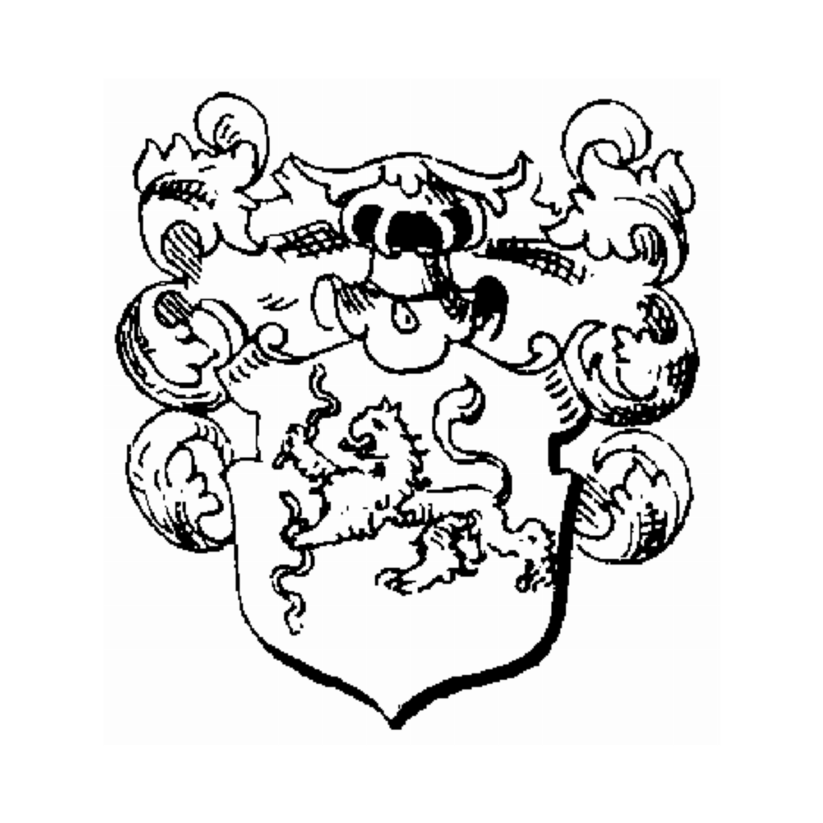 Coat of arms of family Brugke