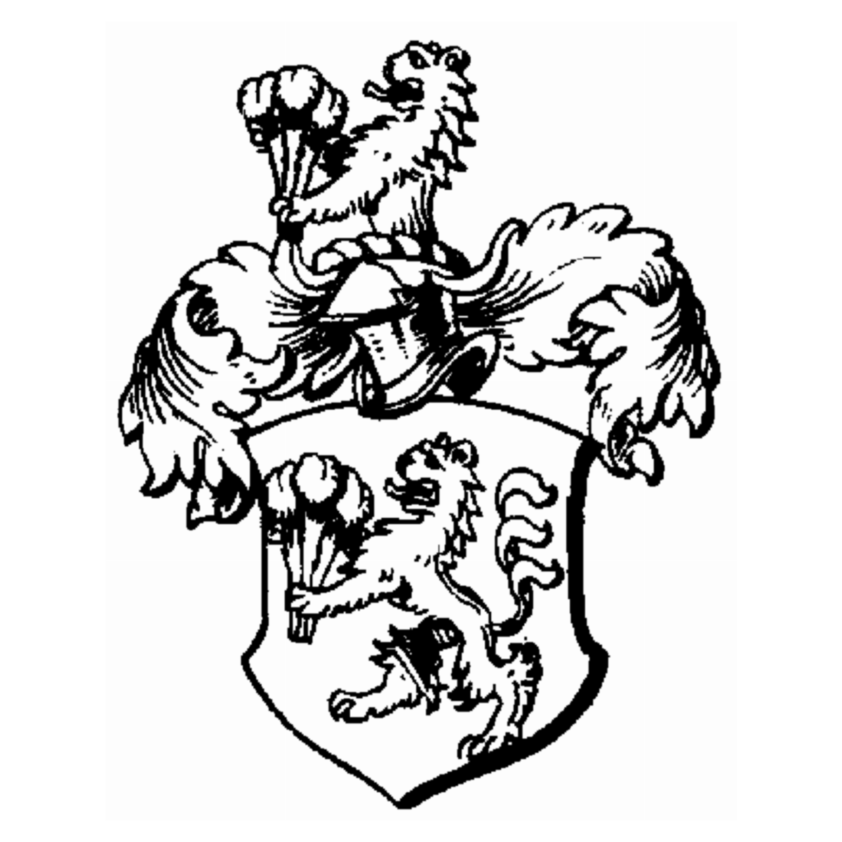 Coat of arms of family Pofs