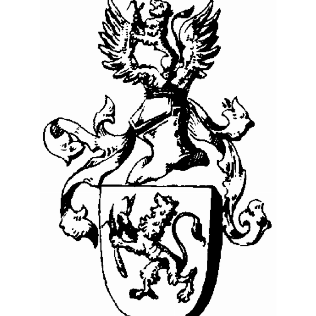 Coat of arms of family Drüber