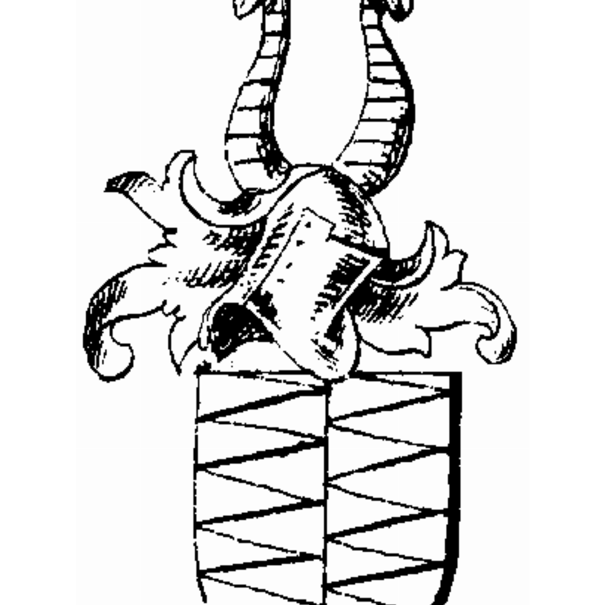 Coat of arms of family Ringehan