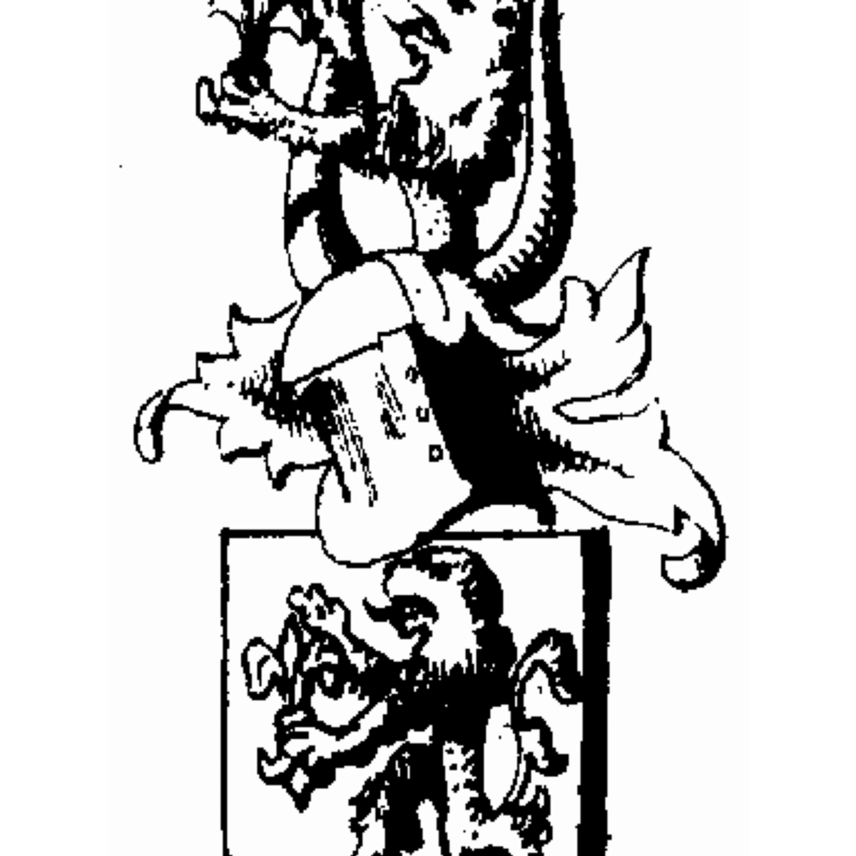 Coat of arms of family Vettekopp