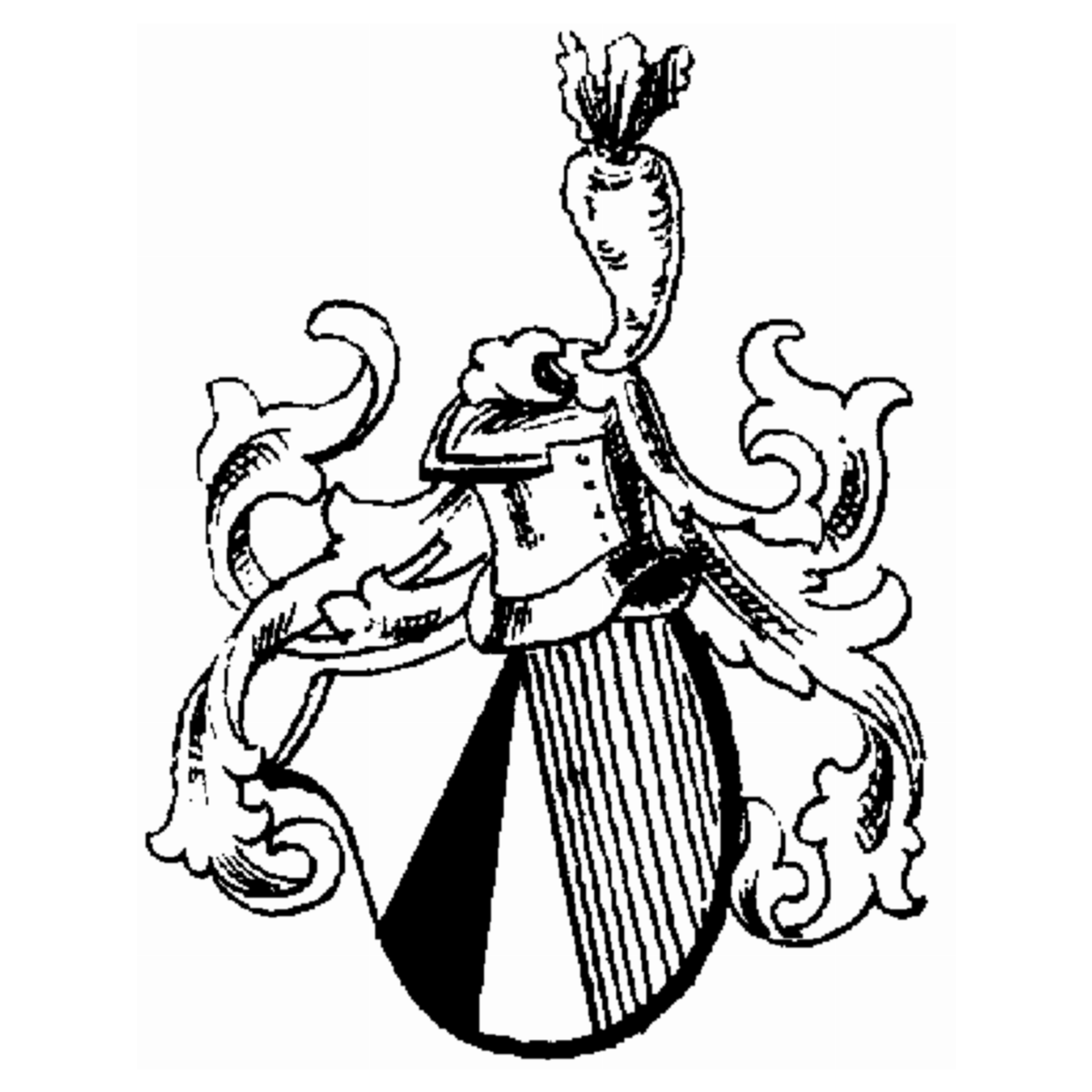 Coat of arms of family Jungefaut